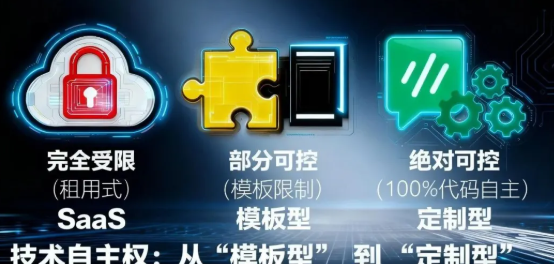 独立站三大建站方案（SaaS/模板WordPress/定制WordPress）怎么选？哪个更适合谷歌？