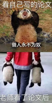 GPT-5 10个超好用的文献综述指令