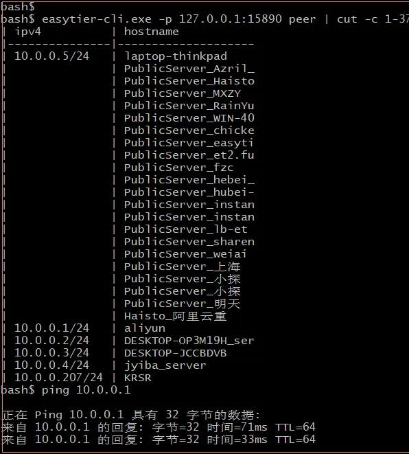 如何搭建公共 easytier 服务器