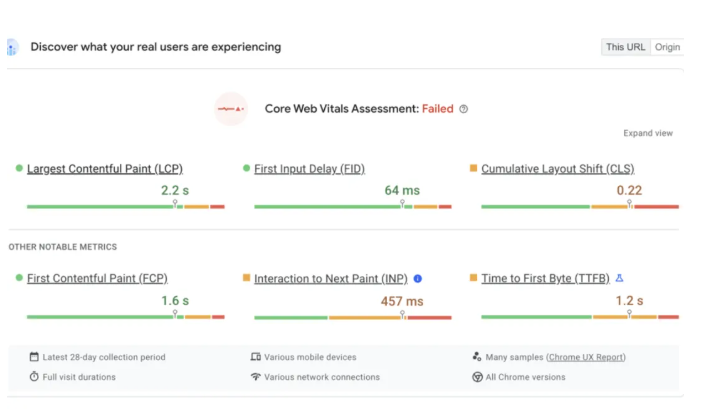 SEO 有哪些类型？怎么区分？