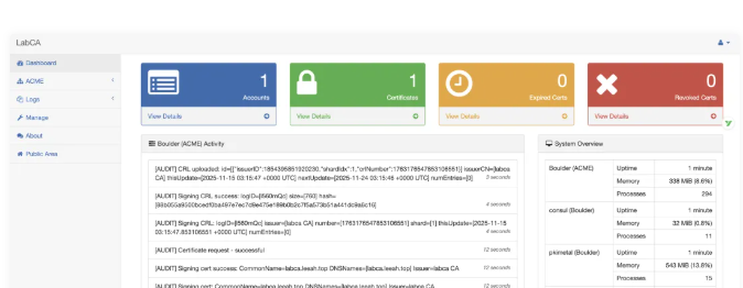 自建私有 ACME 证书颁发中心：LabCA 部署指南