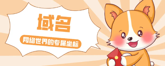 做外贸独立站怎么选择域名？