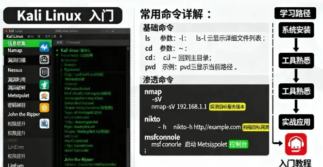 怎么安装 Kali Linux？Kali Linux 常用命令合集