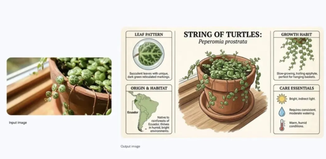 Nano Banana谷歌AI生图有哪些用法？全网最热6种Nano Banana谷歌AI生图用法