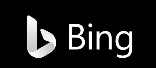 必应SEO怎么做？必应排名暴增的硬核技术指南