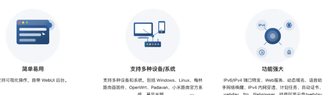 如何一键实现全场景公网访问？