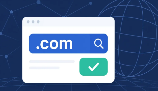 如何免费申请一个永久域名？ClouDNS 平台保姆级教程