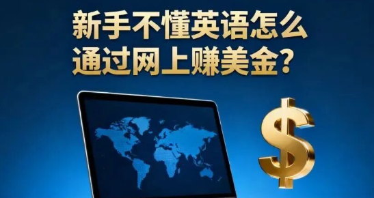 新手不懂英语怎么通过网上赚美金？