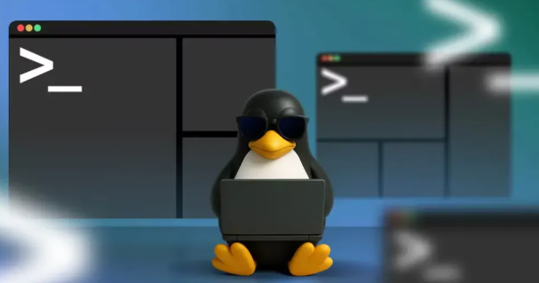 服务器用 Linux,和个人电脑用 Linux 有什么不同?