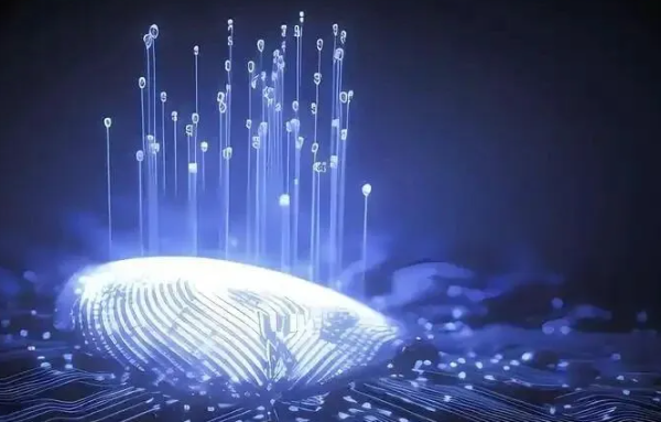 什么是指纹算法？百度如何看待内容指纹？