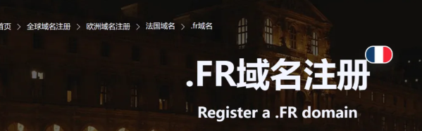 .FR 域名能提升法国谷歌排名吗？本地 SEO 优化效果解析