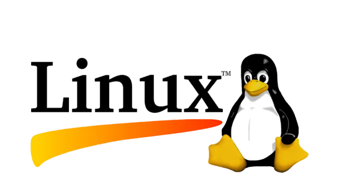 站长必备 20 个 Linux 基础命令：从连接到安全运维，新手也能搞定服务器